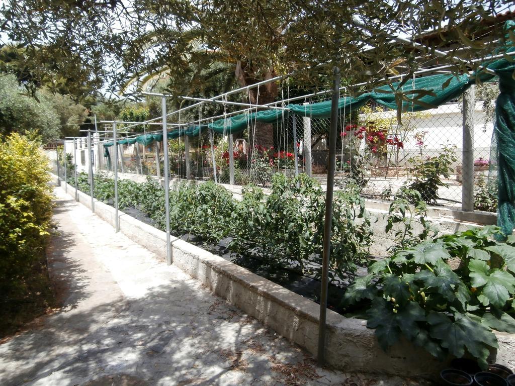Ferienwohnung Olive House Elia Nikitis Exterior foto